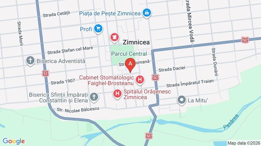 Spatiu comercial 200 mp Zimnicea, teren 700 mp, central - 1