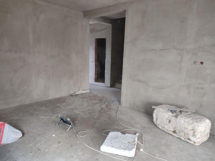 Sanandrei, Casa Individuala,, Suprafete Generoase, - 12