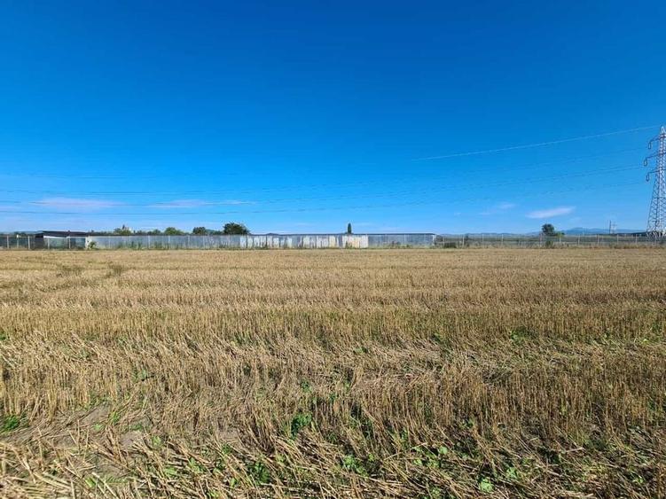 Teren industrial Stupini - 3