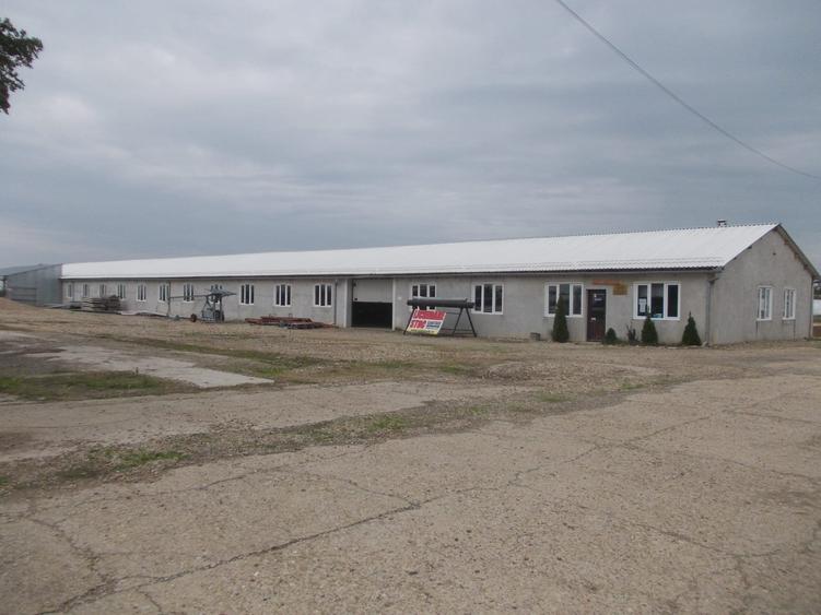 Spațiu depozit și birouri - 3