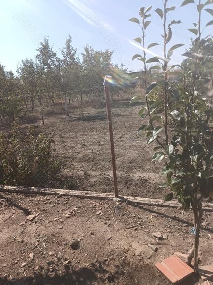 Casa de vanzare in Alio? jude?ul Timi? - 2