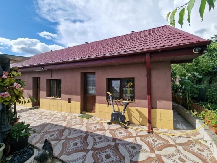 Casă de vânzare Aroneanu priveliște lac - 7