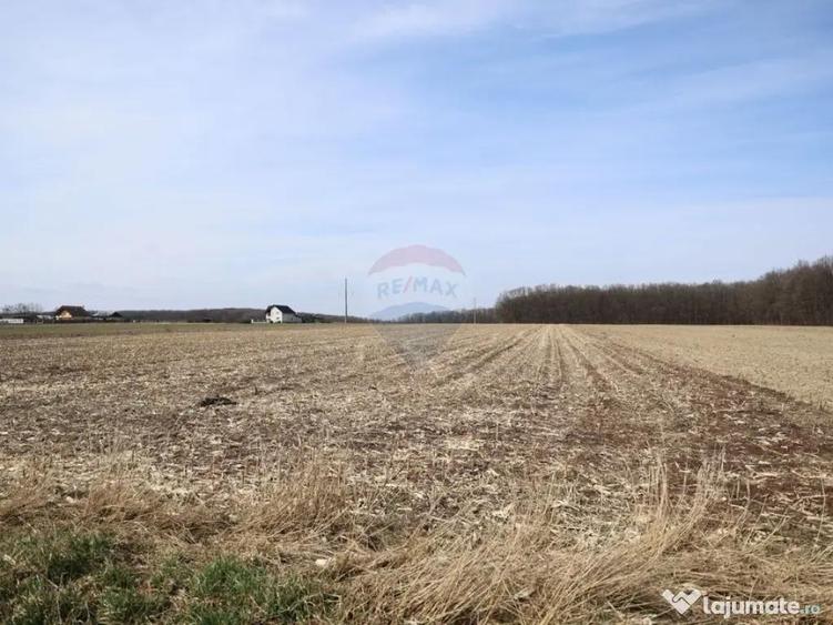 Teren 9,740mp Suceava / Strada Principala - 1