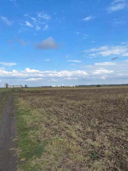 Vânzare teren extravilan 7500 mp, Berceni, Ilfov - 1