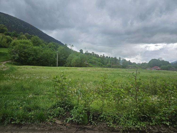 Teren de vanzare Poiana Zgurii, Rodna - 1