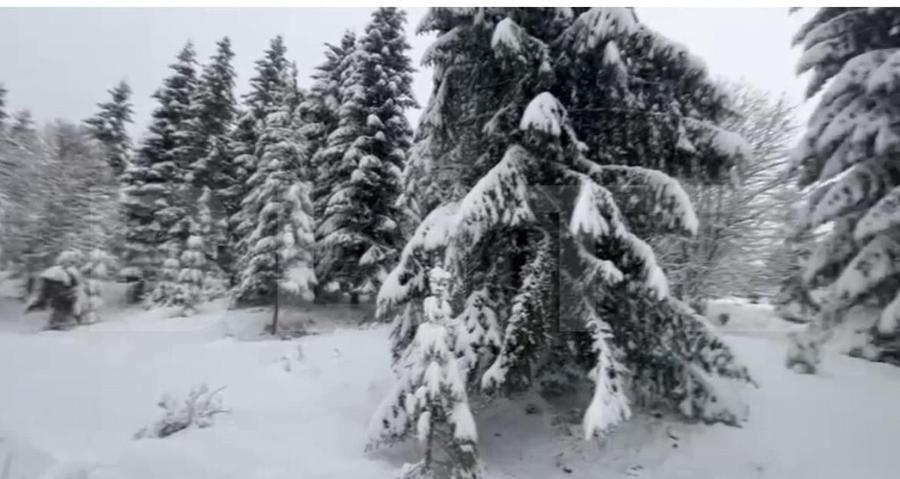 Teren 10,75 ari, intravilan Colibita, cu utilitati - 2