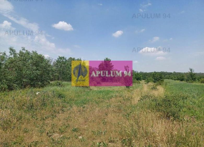 Săbăreni, teren 12620 mp pentru case, lângă pădure - 4