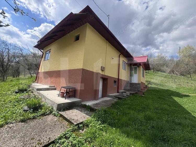 Oaza de lini?te in inima naturii casa de vacan?a sau business - 2