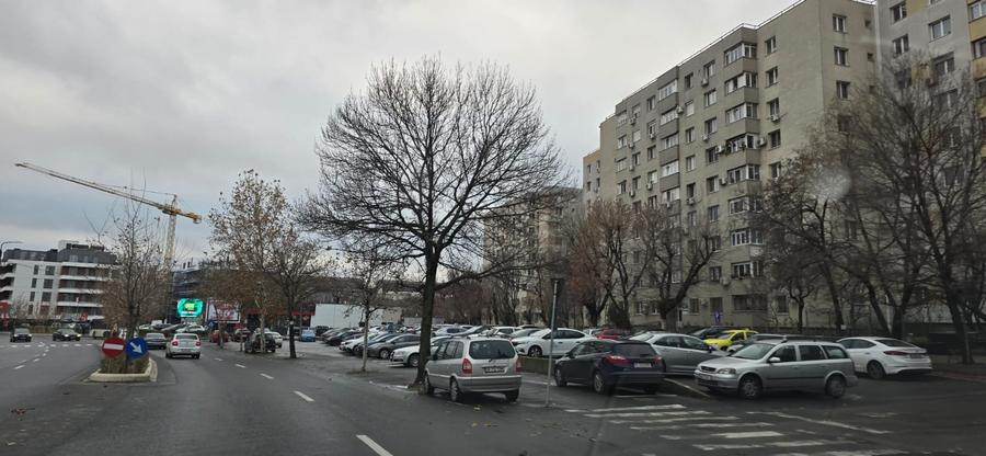 FIZICIENILOR-PENNY, 3 camere, LIBERE, bloc  1983 reabilitat termic - 2