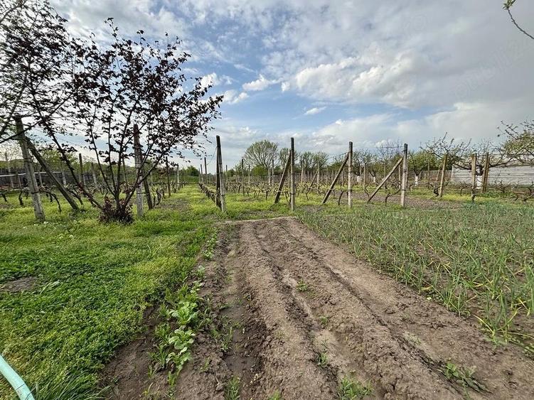 Casa si teren de vanzare Rogova - 1