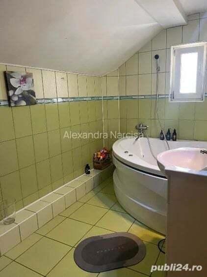 Vand Casa Sanmihaiu Roman - 2