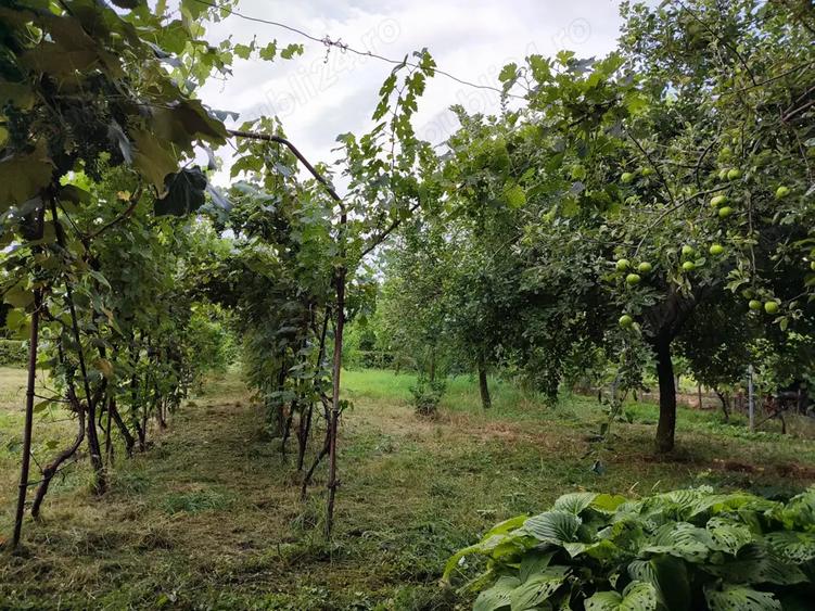 Casa de vanzare in Ineu, jud. Arad - 3