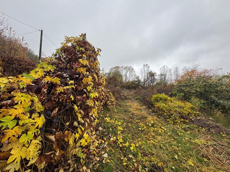 Teren intravilan - 10