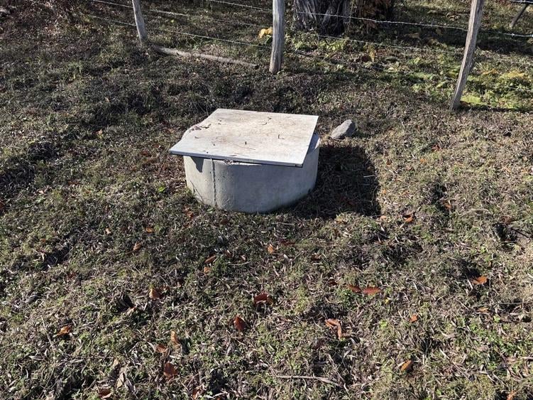 Teren intravilan Bradulet (Ungureni) , imprejmuit, langa padure - 6