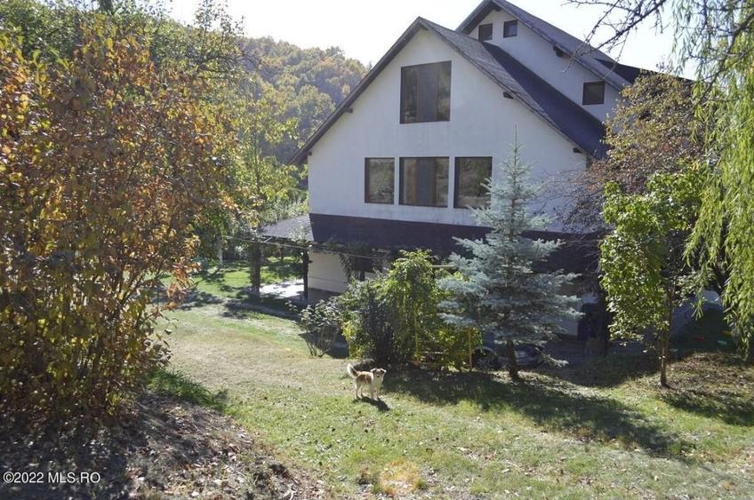 Topoloveni - Conacul Ion Mihalache, Domeniu pe 5 Hectare! - 10