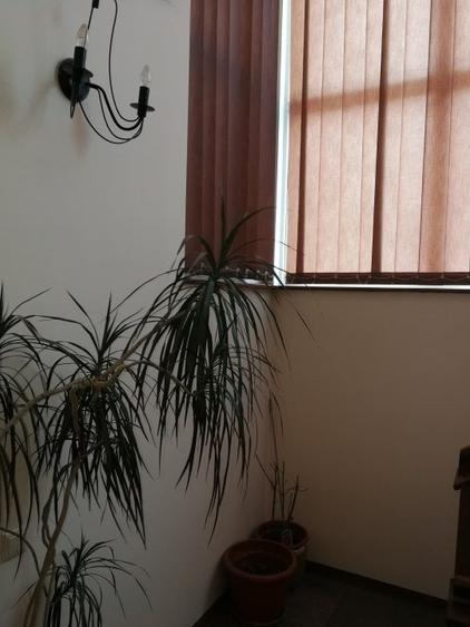 MOSILOR - int. Traian  vila 400 mp pretabila clinica, birouri - 10