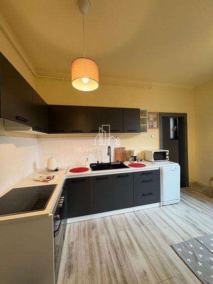 Apartament/Spatiu Birouri 3 Camere, Str Tineretului, Ultracentral - 2