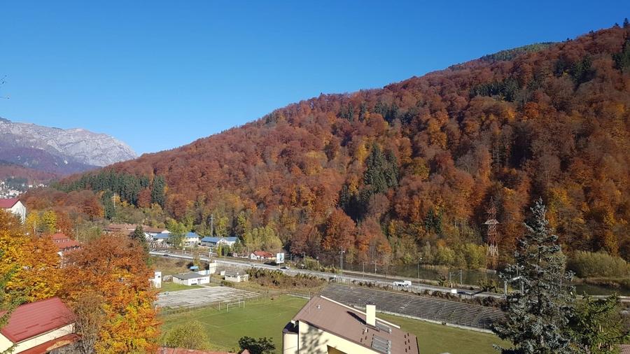 Garsoniera Sinaia Valea Prahovei Parcare Subterana SPA - 9