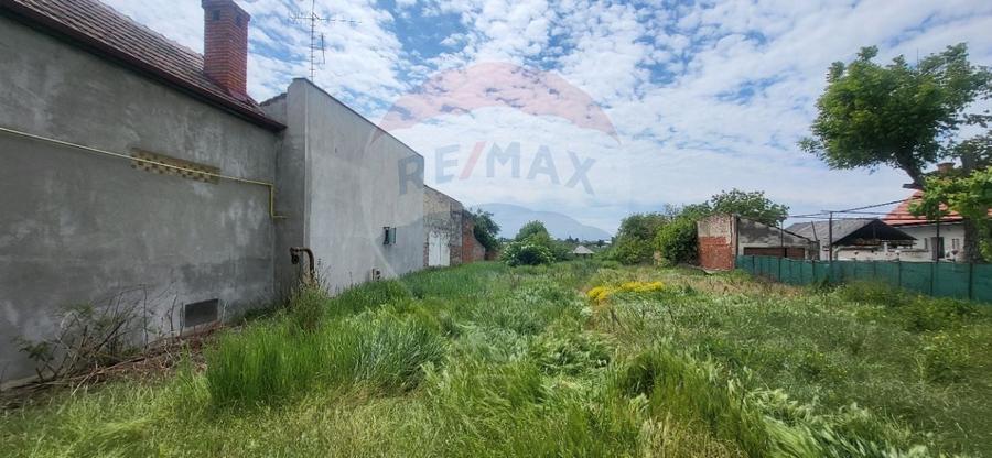 Teren Aradul Nou-2.311mp cu livada si utilitati, ideal pentru locuinte - 10