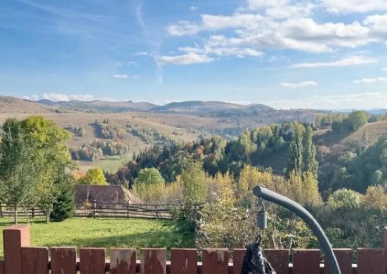 Cabana cu 4 dormitoare, foisor, ciubar, Statiunea Muntele Ba - 7