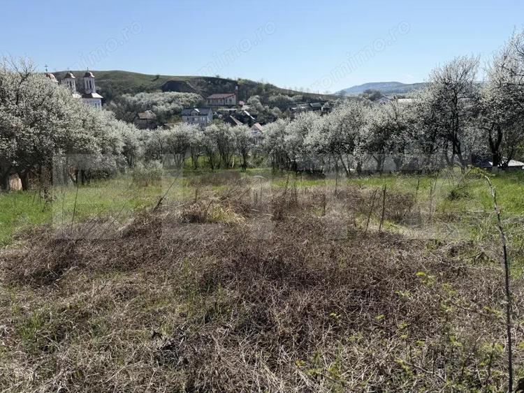 Teren intravilan in localitatea Criseni in suprafata de 2700 mp - 4