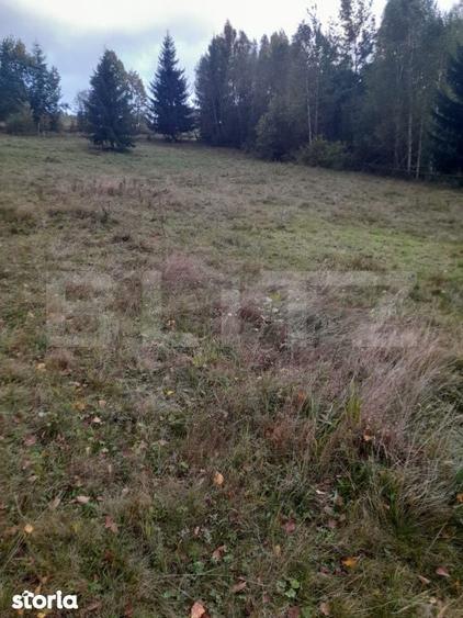 Teren intravilan de vanzare, 2280 mp, Vatra Dornei - 2