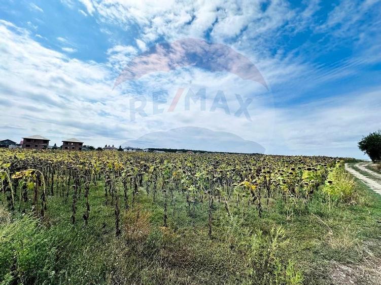 Teren 14.863mp, deschidere 42mp, acces 3 laturi - Ciorogarla, langa A0 - 7