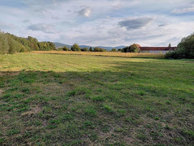 Teren de 4500 mp, în Stupinii Prejmerului