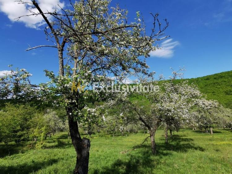 Teren de 680 mp, în Budeasa