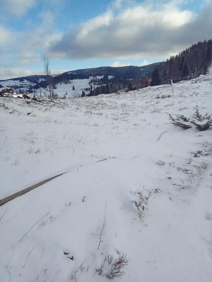 Teren de 10000 mp, în Gârda de Sus
