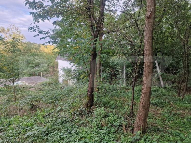 Teren Construcții intravilan de 79000 mp, în Sud