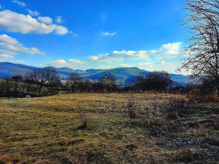 Teren de 2900 mp, în Buhoci
