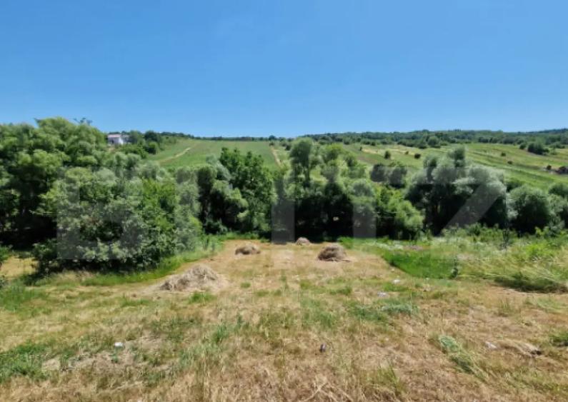 Teren intravilan, ideal constructie casa, 12 ari in zona Va - 4