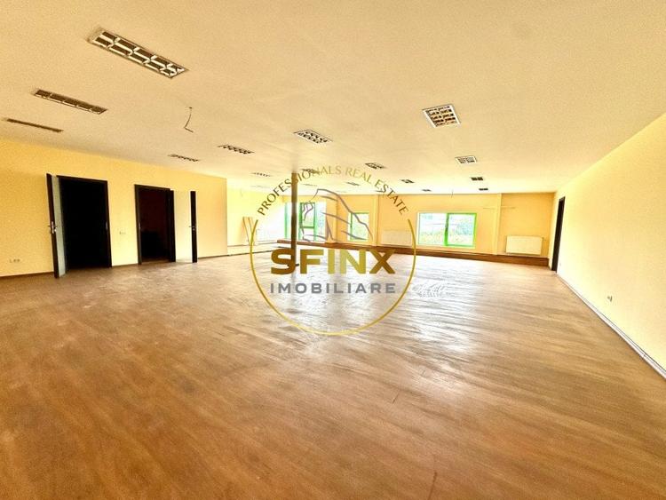 Hala si birouri zona Mogosoaia sos Odai - 6