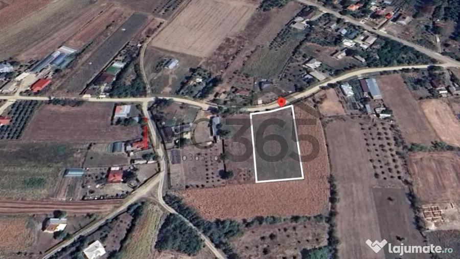 Teren intravilan 3000mp Oarja deschidere 37m - 7