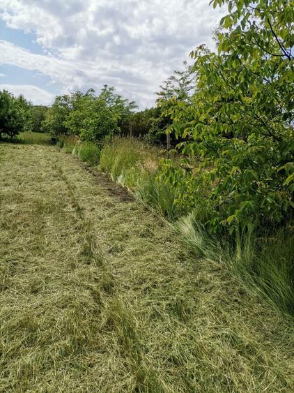 Vand/ Arendez Teren intravilan -livada meri Loc de casa - 6