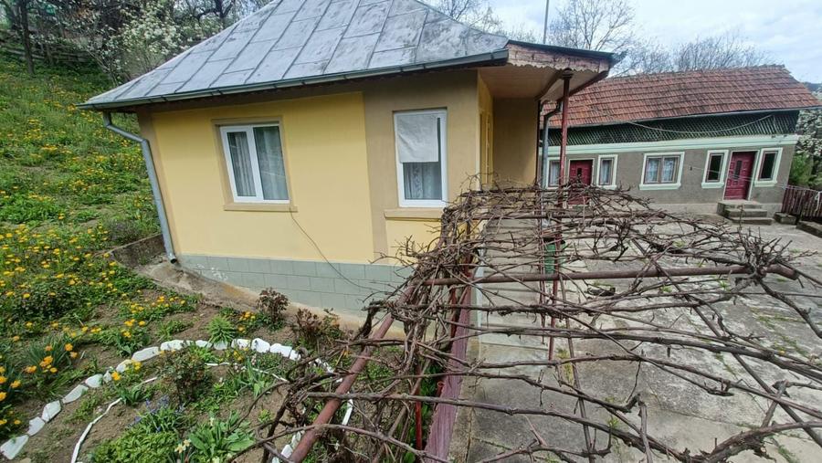 Casa de vanzare ,com Bezdead sat Magura (Tunari) - 1