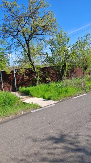 Vand proprietate   - 2