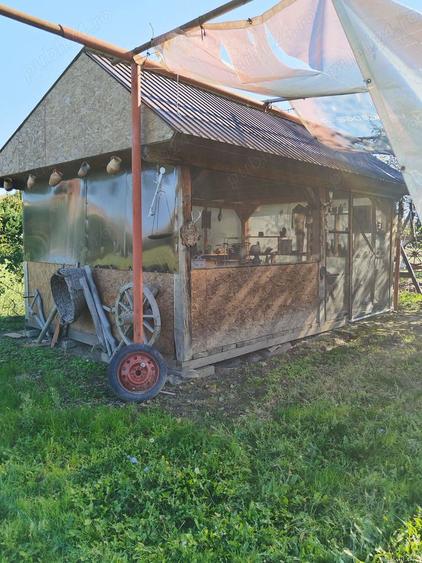 Teren 1362 mp + anexe - 6