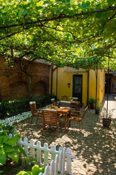 Casa - Apartament de inchiriat ultracentral - Pietonala N Balcescu - 15