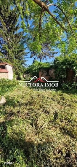 NECTORA IMOB-Teren Intravilan Zona Centrala-Piata Mare,539mp,Utilitati - 5