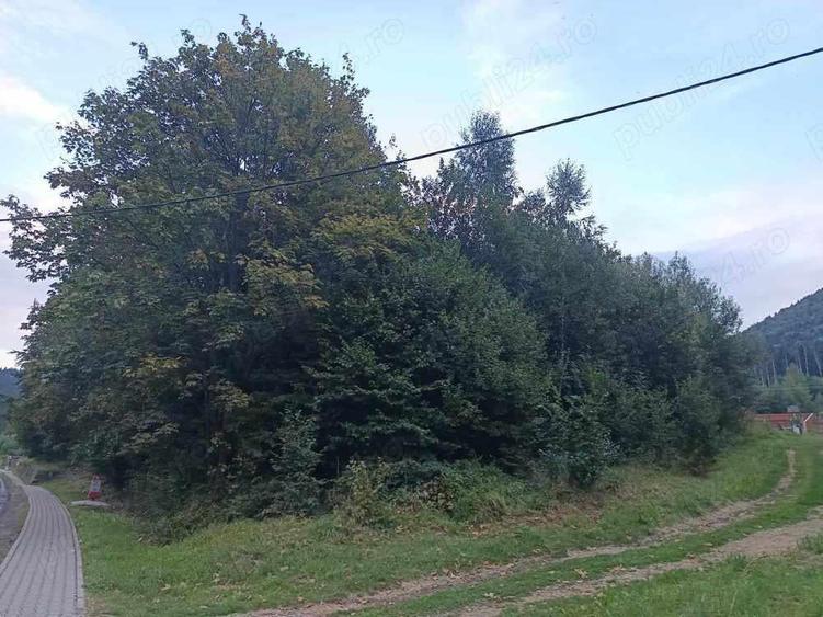 Teren inttravilan de 1000 mp de vanzare in Baile Tusnad, langa drumul principal, bun pt Hotel - 1