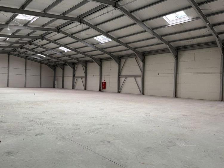 Spatiu depozitare si productie Otopeni - 4