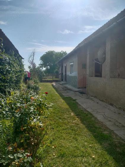casa de vanzare - 3