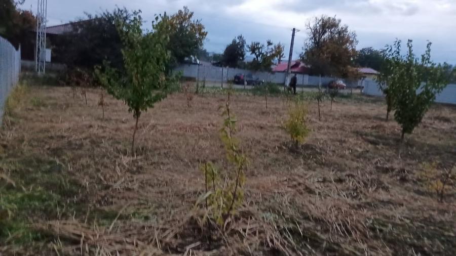 Carligele, jud. Vrancea - 2