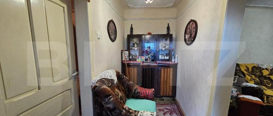 Casa rustica de vacanta (62mp) in sat Magura cu 1000mp teren - 17