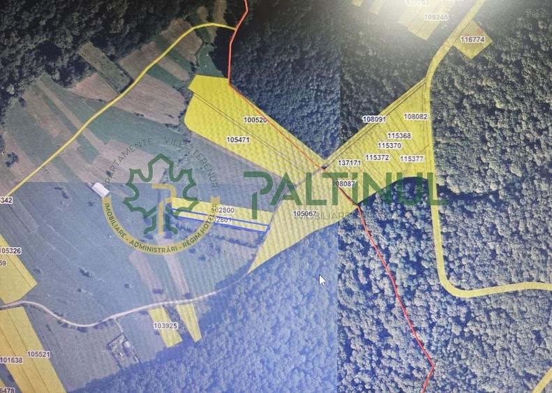 Teren extravilan 2.000 mp – Rășinari, Sibiu - 1