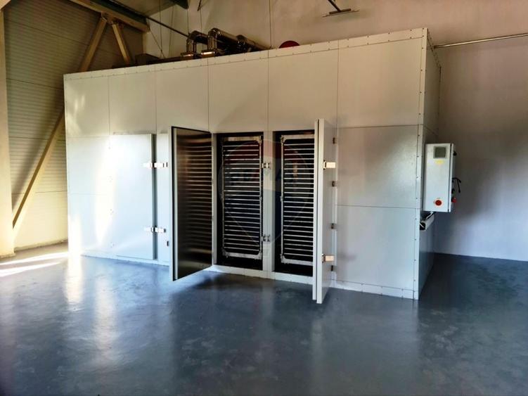 Teren agricol 13,1 ha + Hală 700 mp + Utilaje Agricole - Piscu, Galati - 11