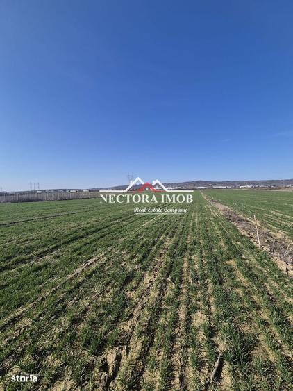 NECTORA IMOB-Teren Intravilan 537 mp, Zona Solay, 250 m de asfalt - 4