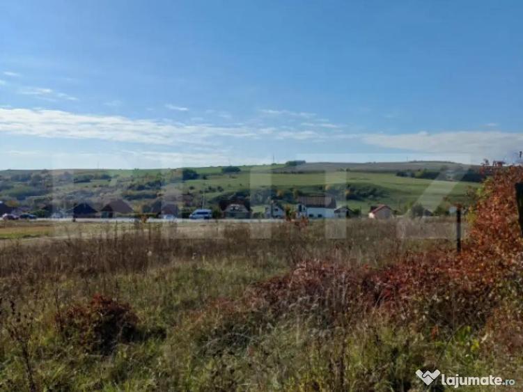 Teren intravilan 2877 mp, in Copaceni - 3